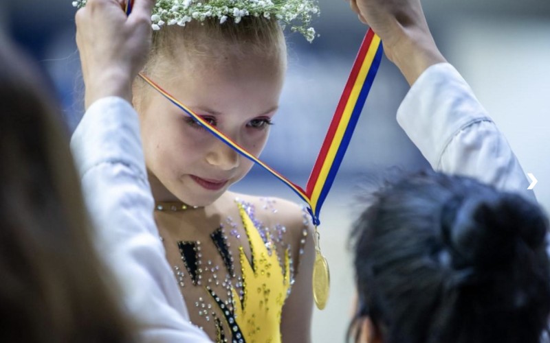 Bursele de performanță Alber